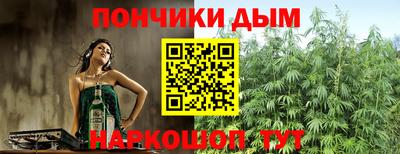 ALPHA PVP Камышлов