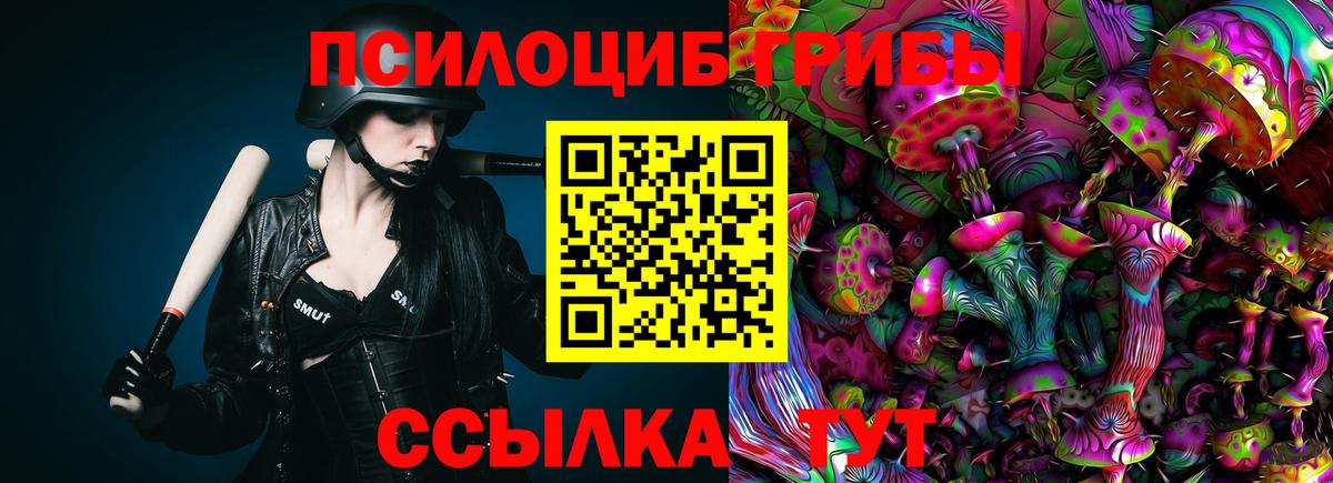 Псилоцибиновые грибы Psilocybe  Галлюциногенные грибы ЛСД  Куйбышев  Вход с VPN 