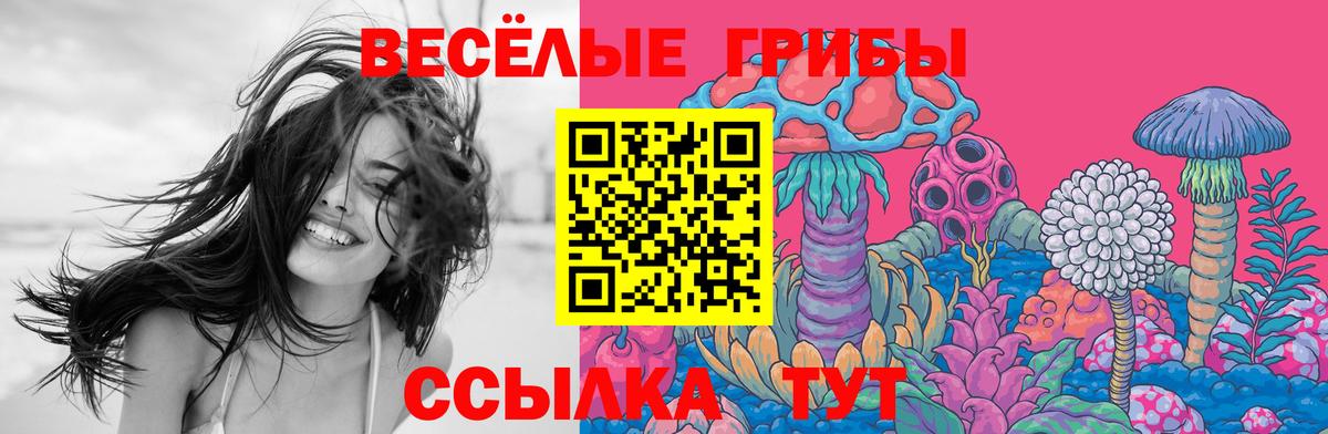 Галлюциногенные грибы Psilocybine cubensis Куйбышев